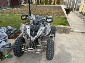 Yamaha Raptor 350, снимка 6