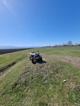 Yamaha Raptor 350, снимка 4