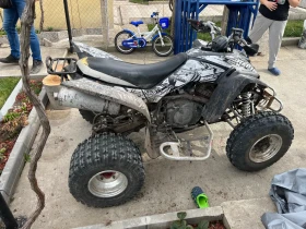 Yamaha Raptor 350, снимка 8