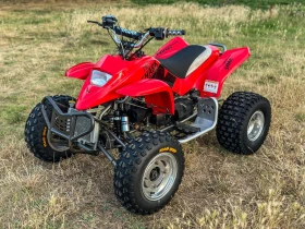 Yamaha MX APEX PRO SHARK 100, снимка 2