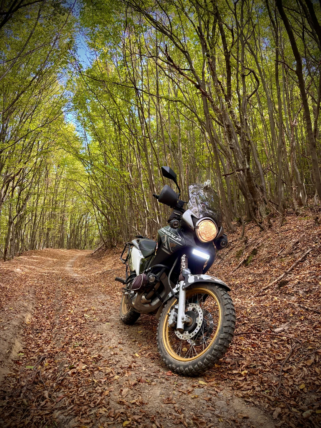 Honda Xlv 700i - изображение 7