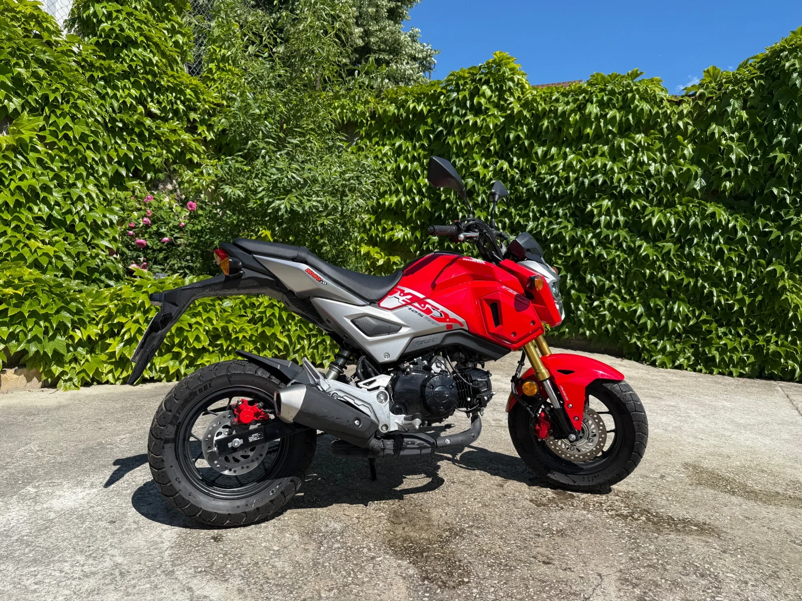 Honda MSX125, снимка 2 - Мотоциклети и мототехника - 54729967