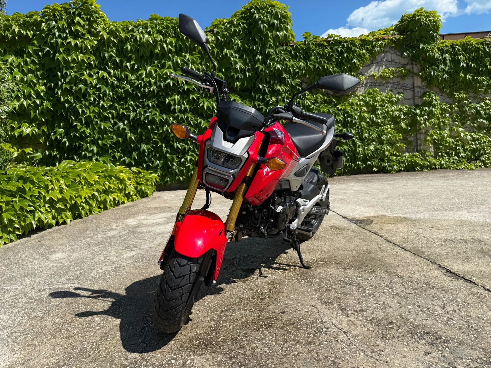 Honda MSX125, снимка 5 - Мотоциклети и мототехника - 54729967