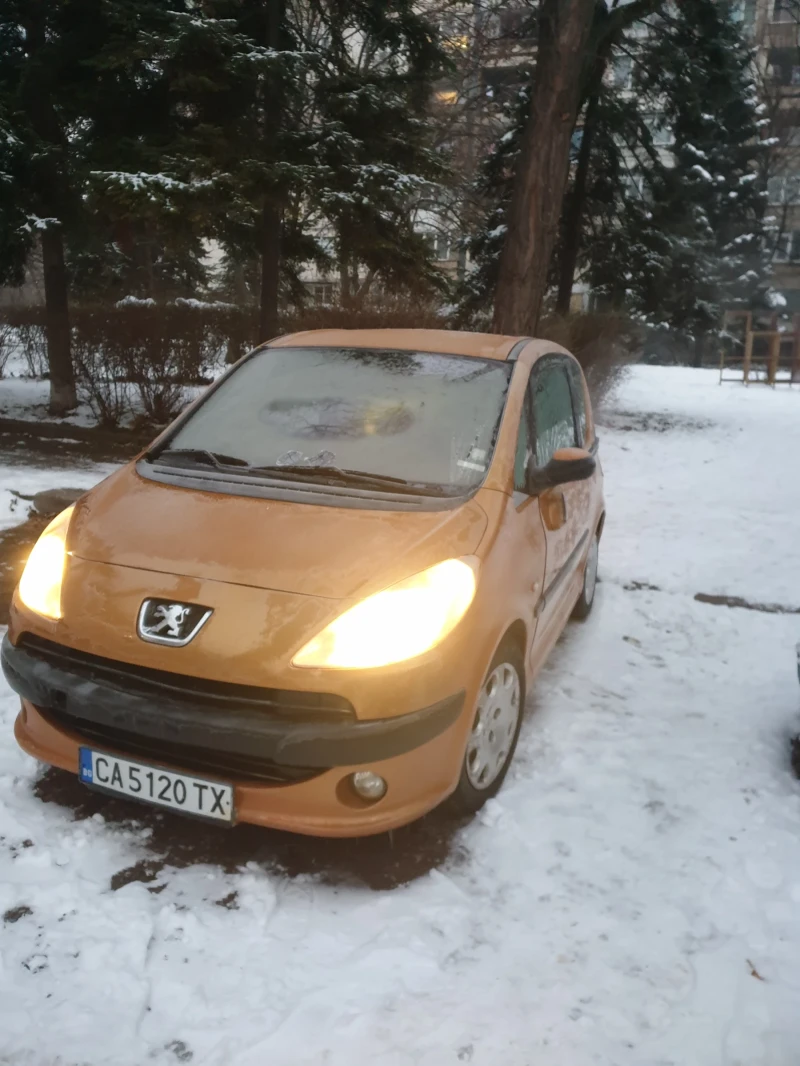 Peugeot 1007, снимка 3 - Автомобили и джипове - 48713178