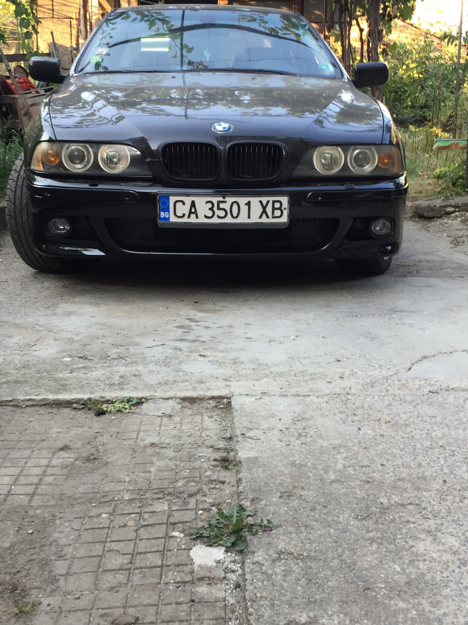 BMW 540 VANOS! - изображение 1