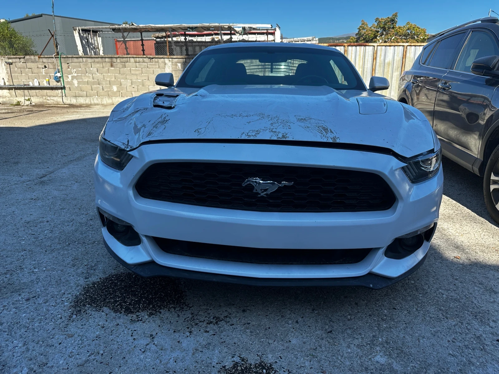 Ford Mustang GT 5.0 PREMIUM +  - изображение 2