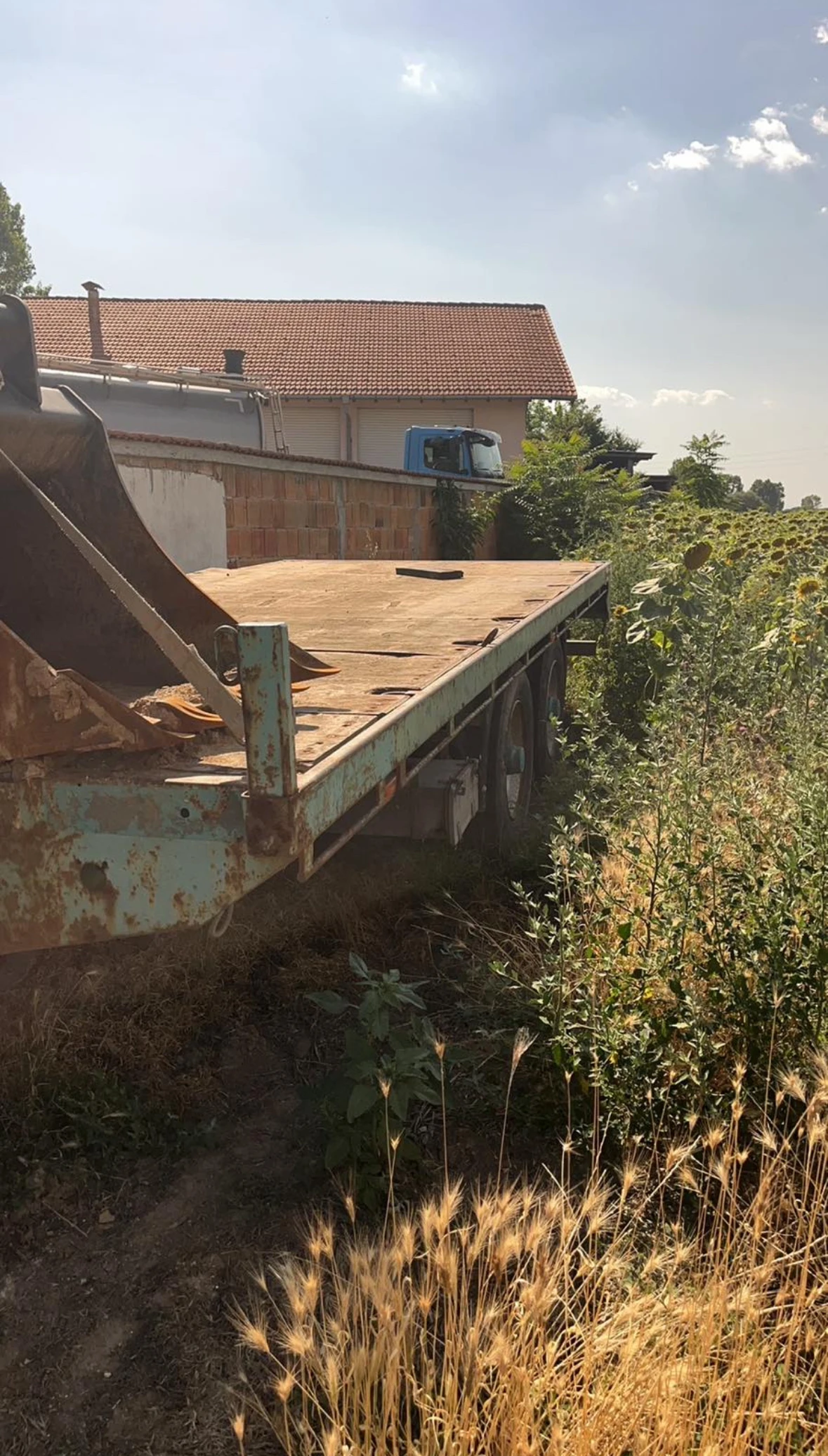   Muller Mitteltal  | Mobile.bg   2