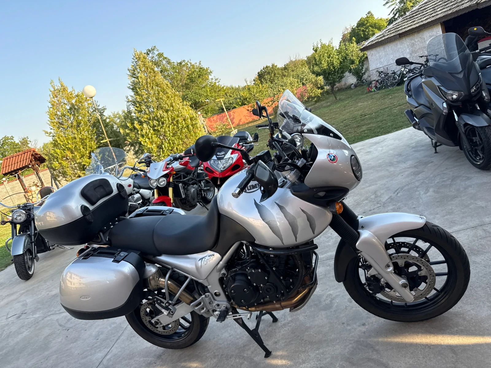 Triumph Tiger 955i, снимка 2 - Мотоциклети и мототехника - 55675464