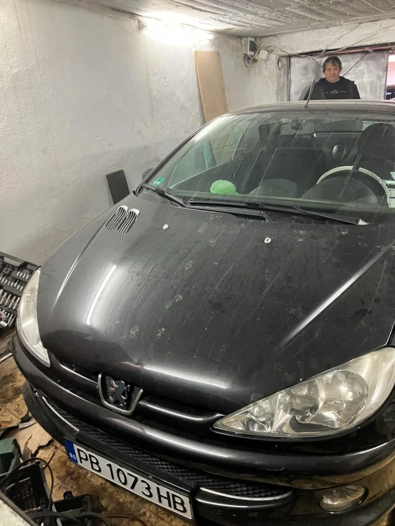 Peugeot 206, снимка 1 - Автомобили и джипове - 49027348