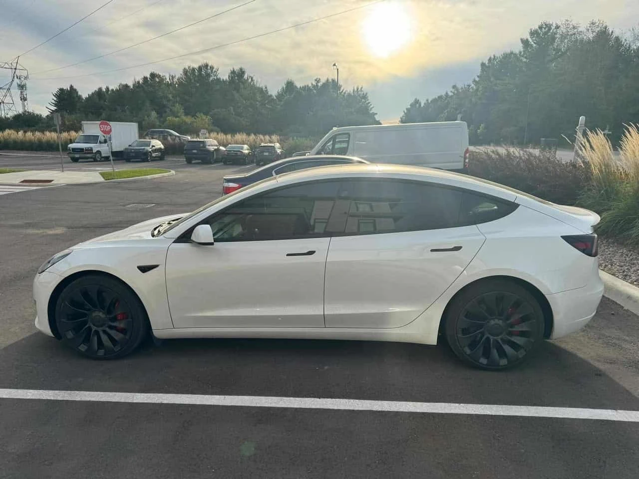 Tesla Model 3 * Performance * CARFAX * , снимка 2 - Автомобили и джипове - 56260944