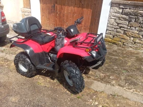    Honda 250 TRX 250 TM