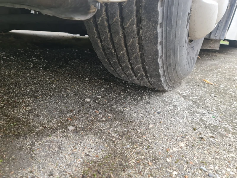 Temsa Safari, снимка 3 - Бусове и автобуси - 52822513