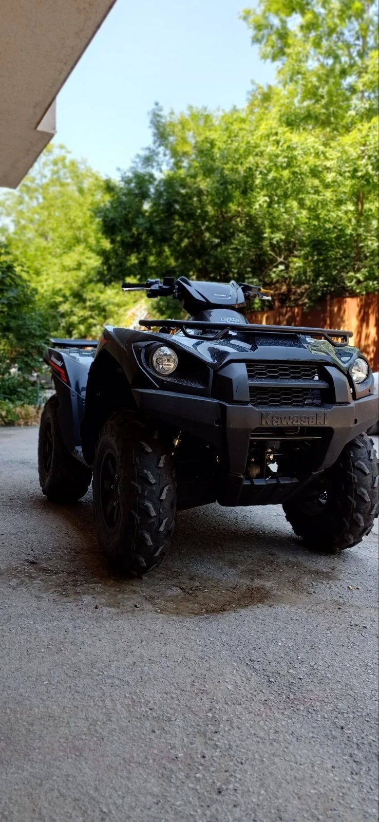 Kawasaki Brute Force  - изображение 3