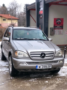 Mercedes-Benz ML 270, снимка 1