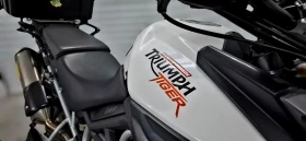 Triumph Tiger 800 ABS - изображение 6