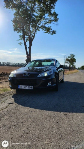  Peugeot 407