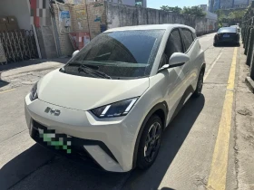 ������ BYD Seagull