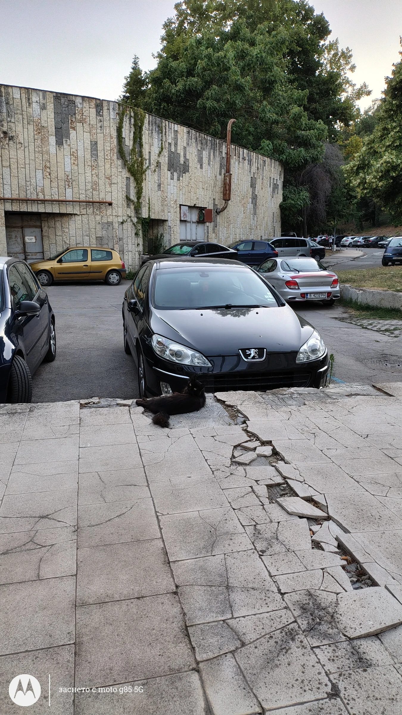 Peugeot 407  - изображение 6