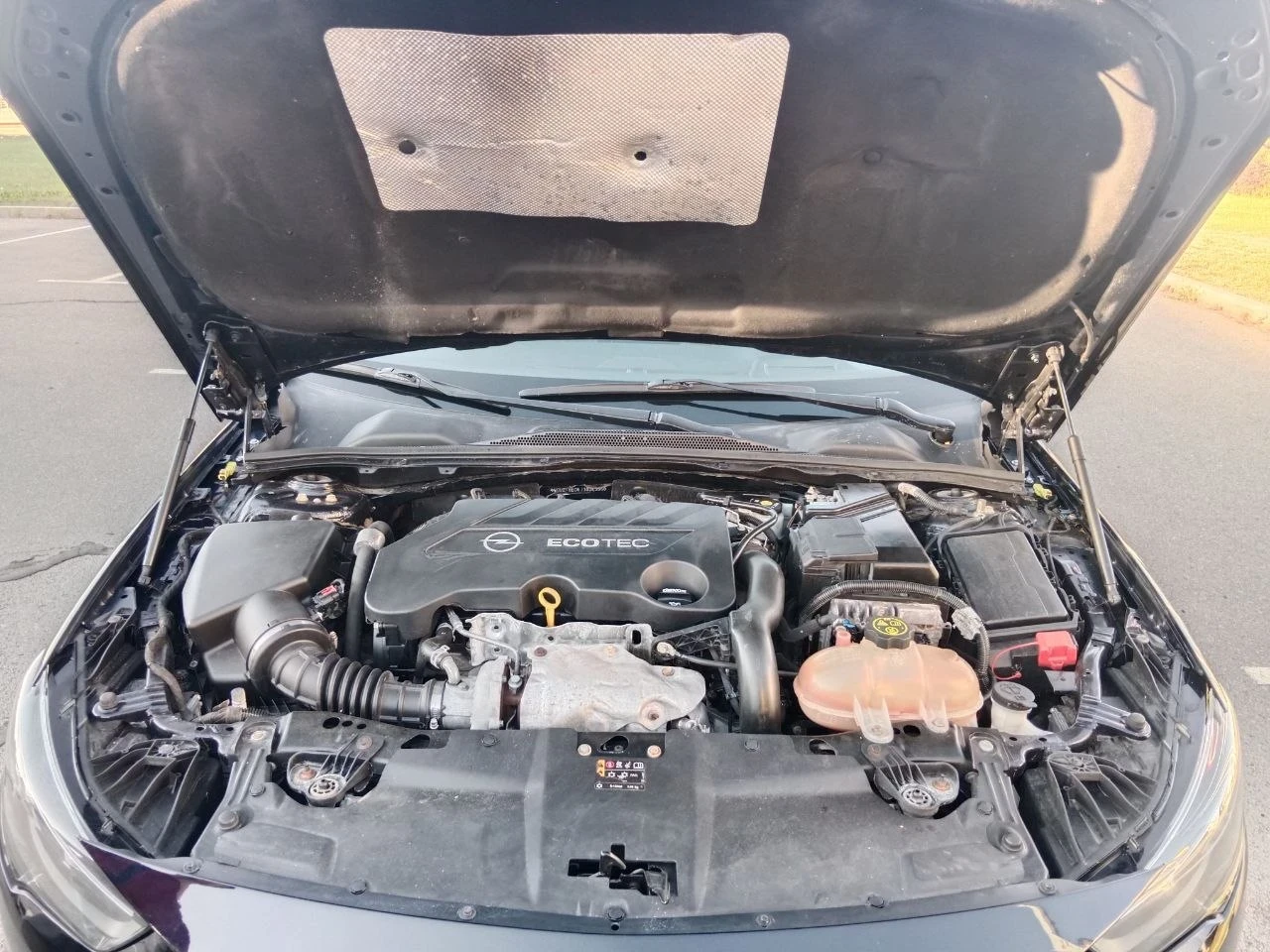 Opel Insignia, снимка 12 - Автомобили и джипове - 55987072