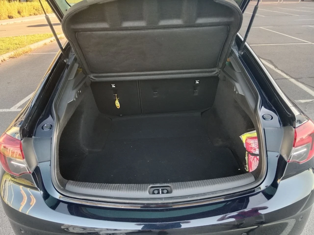 Opel Insignia, снимка 13 - Автомобили и джипове - 55987072
