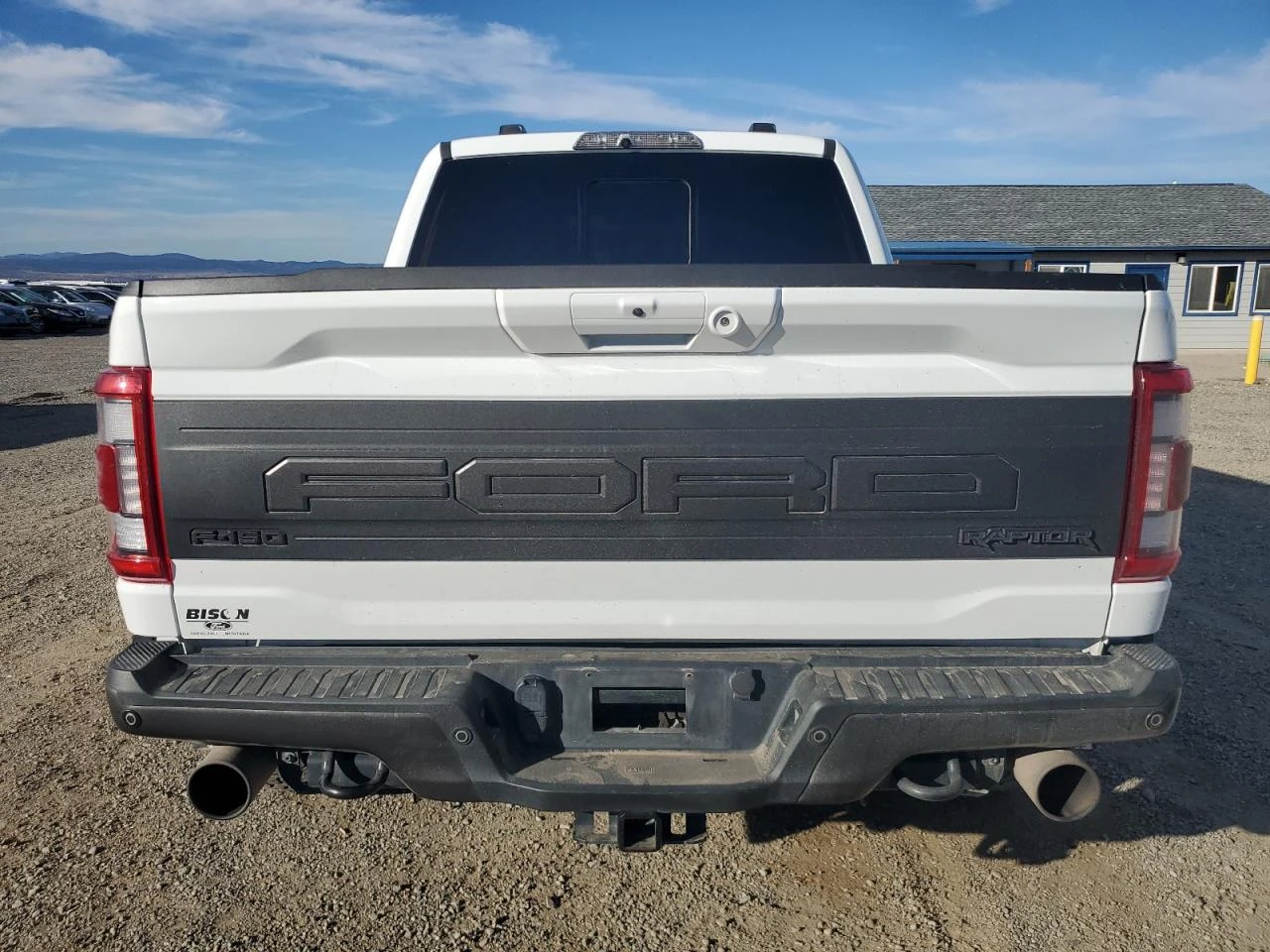 Ford F150 RAPTOR - изображение 6