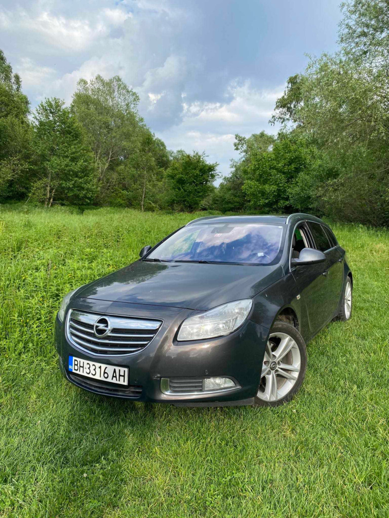 Opel Insignia 2.0, снимка 4 - Автомобили и джипове - 45640365