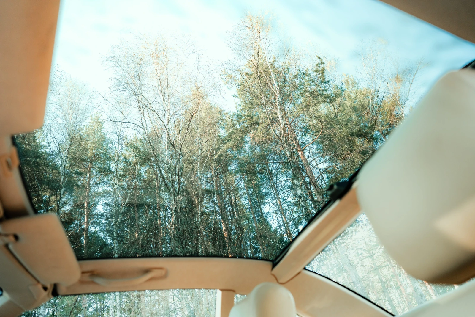 Mercedes-Benz SL 500 AMG PANO 4K Video, снимка 9 - Автомобили и джипове - 54207390