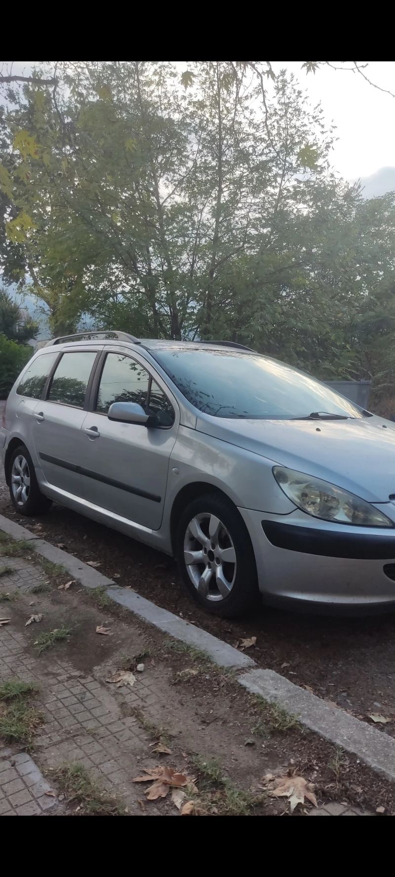 Peugeot 307 Siemens, снимка 1 - Автомобили и джипове - 49271063