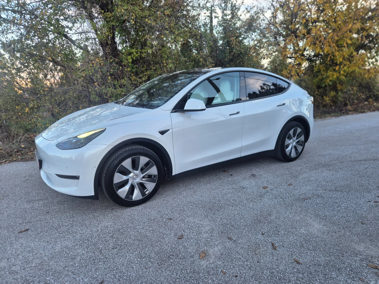 Tesla Model Y Long Range/Dual Motor  | Mobile.bg   1