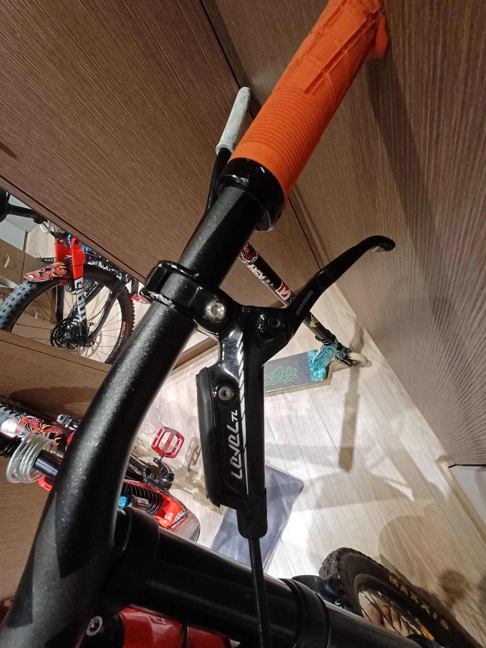  Giant glory 2019  | Mobile.bg   13