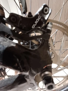  Giant glory 2019  | Mobile.bg    3