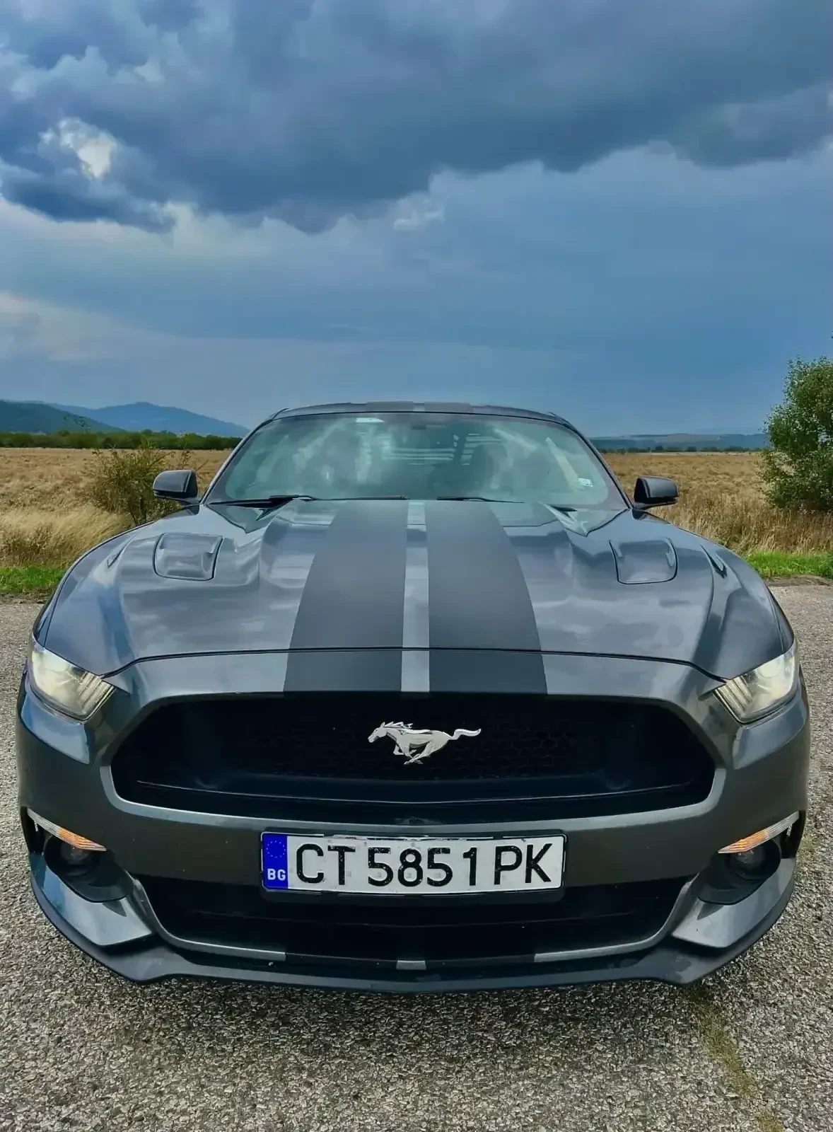 Ford Mustang GT 5.0 - изображение 2