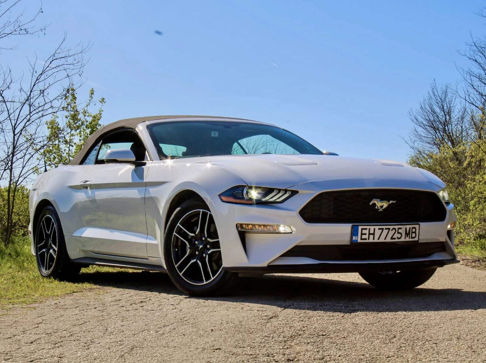 Ford Mustang 55th Anniversary  - изображение 4