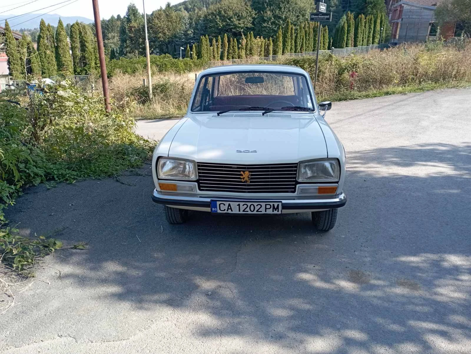 Peugeot 304