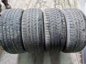      255/50R19