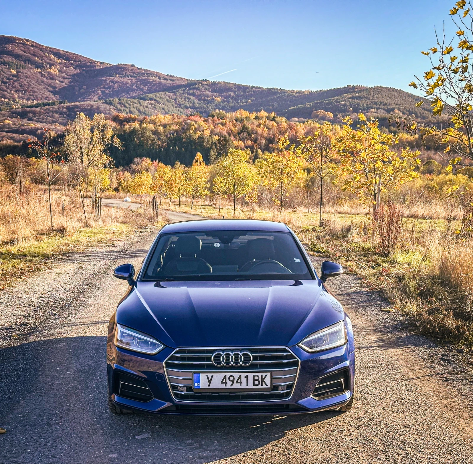 Audi A5 40 TDI, снимка 4 - Автомобили и джипове - 54685675