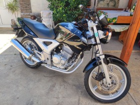 Honda Cbf 250, снимка 10 - Мотоциклети и мототехника - 45468228
